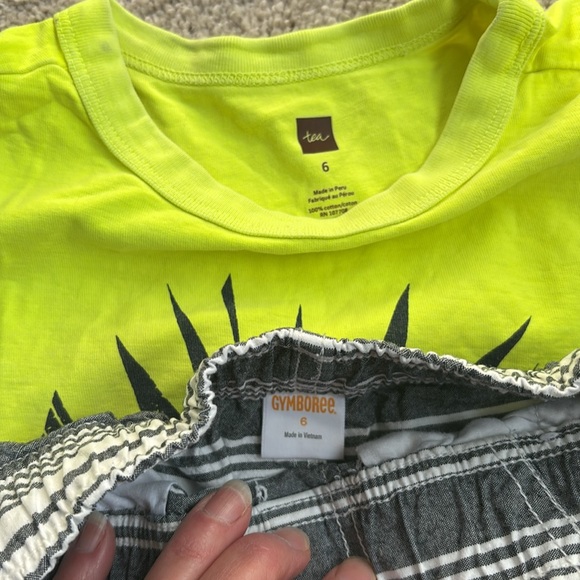 EUC Tea Collection shirt, Gymboree shorts, size 6 - Picture 2 of 3
